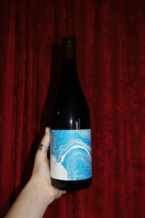 2023 LIOCO Pinot Noir